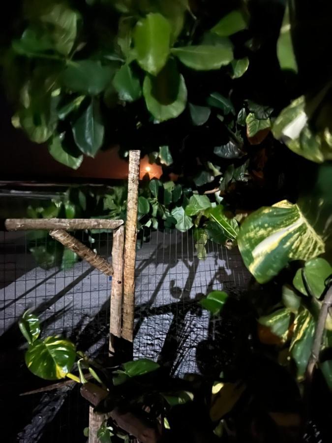 Vila Dos Gnomos Paraiso Mistico Pe Na Areia Ilhéus Eksteriør bilde