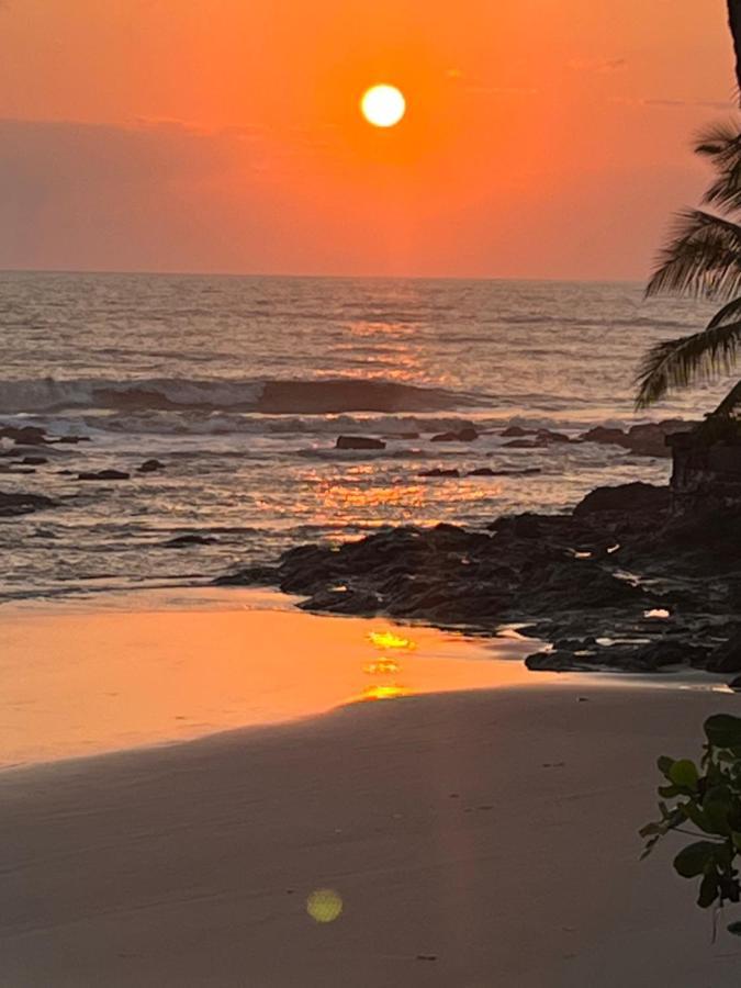 Vila Dos Gnomos Paraiso Mistico Pe Na Areia Ilhéus Eksteriør bilde